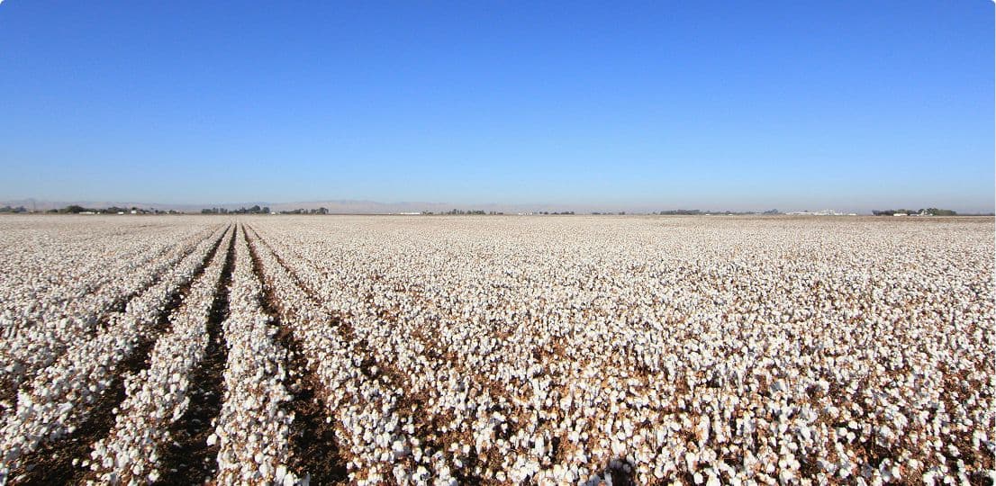 Herbicides