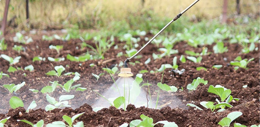 Fungicides
