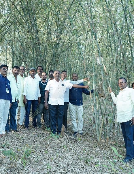 Farmer Sourcing Programme