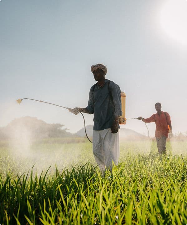 Crop Care Business